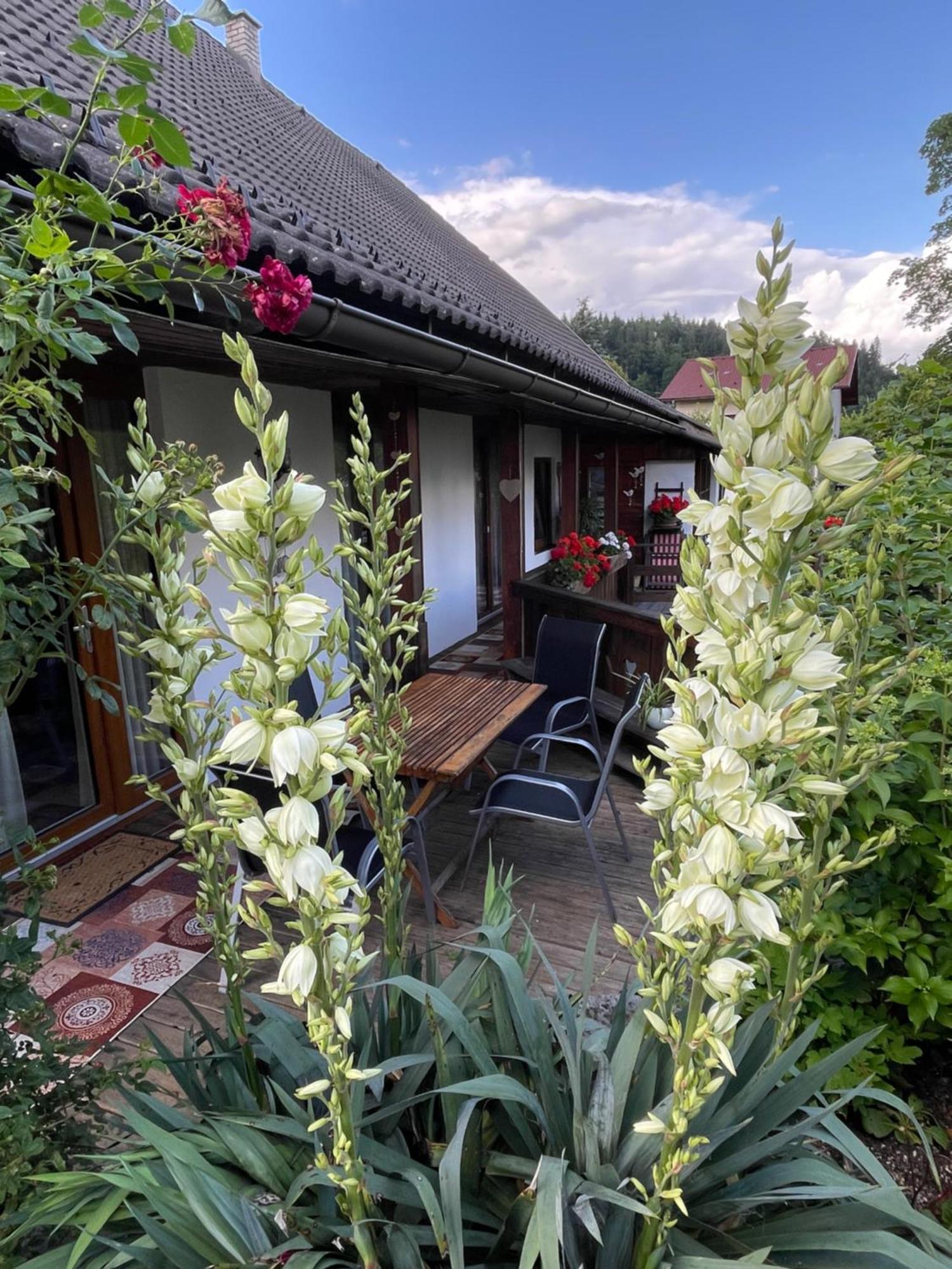 Apartments Wrolich Латшах-обер-дем-Факер-Зе Экстерьер фото